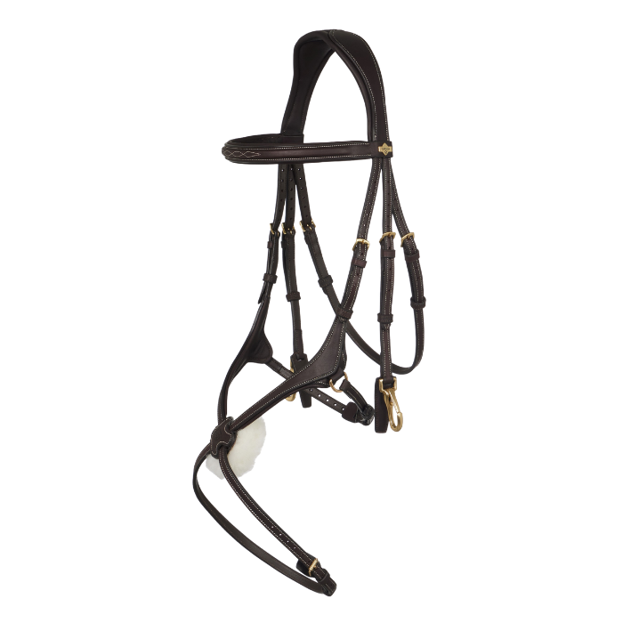 Bridle on white background