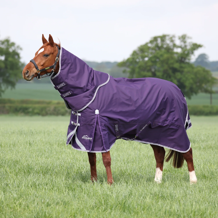 A horse standing in a grassy field wearing a purple horse turnout blanket with white trim and branding.