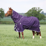 A horse standing in a grassy field wearing a purple horse turnout blanket with white trim and branding.