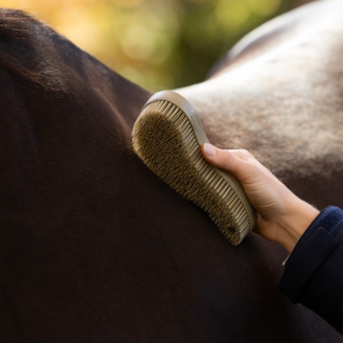 LeMieux AW26 Wizard Brush Trio Varient Wild Rose/Blackberry/ Willow. A close-up of a hand grooming a dark brown horse with a beige horse brush, set against a soft, blurred outdoor background.