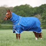 Horse wearing a bright Blue rug with a neck in a grassy field. 