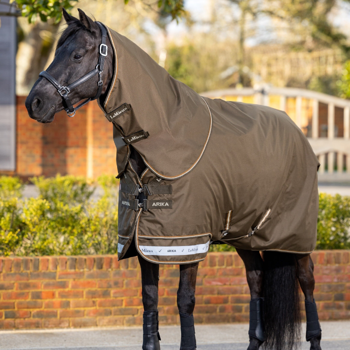 LeMieux AW26 Arika Ripstop 0g Turnout Rug Varient Alpine. A dark horse wearing a brown horse rug with an attached neck cover, standing outdoors in front of a brick wall and greenery. The brand name ARIKA is visible on the side of the rug.