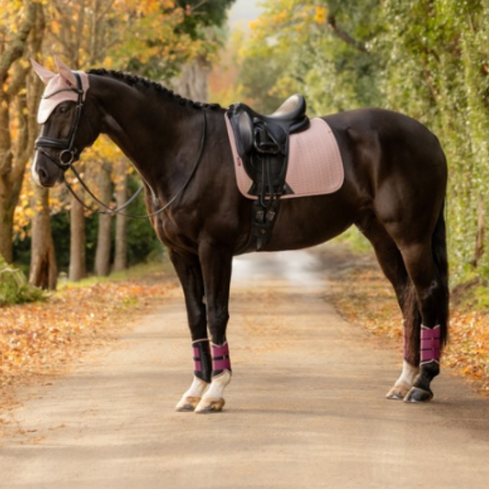 LeMieux AW26 Essence Dressage Square Varient Wild Rose. A dark brown horse standing on a tree-lined path, wearing a pink saddle pad, black saddle, and pink and purple leg wraps.