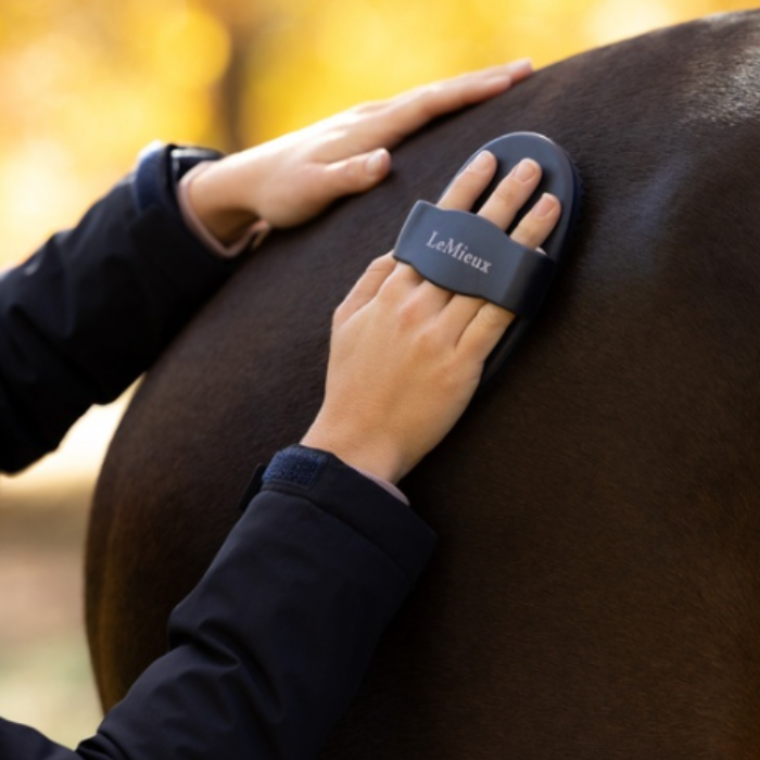 LeMieux AW26 Rubber Curry Comb Varient Navy. A person grooming a dark brown horse outdoors, using a navy LeMieux horse brush on the horse's back. The background is a soft, blurred yellow autumn foliage.