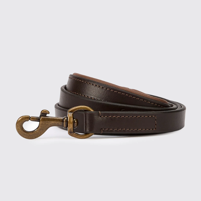 A dark brown leather lead with matching stitching and an antique bronze metal clasp, coiled on a light gray background.