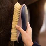 LeMieux AW26 Body Brush Varient Navy. A close-up of a hand holding a LeMieux horse grooming brush against a dark brown horse's coat. 
