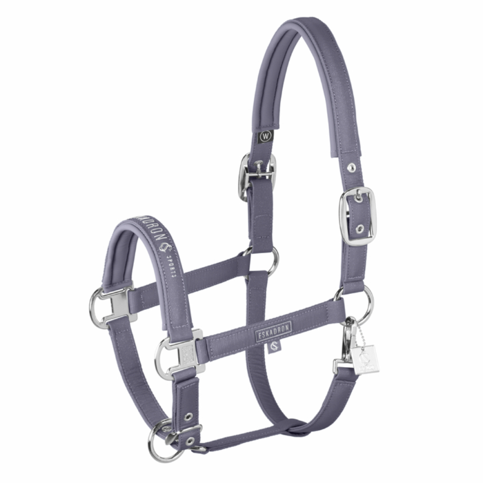 Grey horse halter on white background