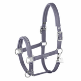 Grey horse halter on white background