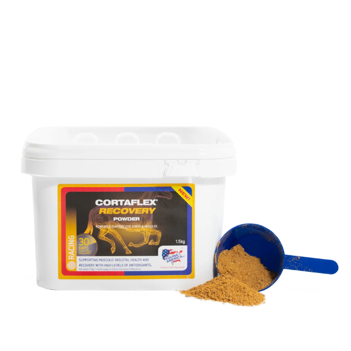 Equine America Cortaflex Recovery Powder Variant 1.5kg. A white plastic tub of Cortaflex Recovery Powder with a blue scoop containing brown powder, shown on a clean white background.