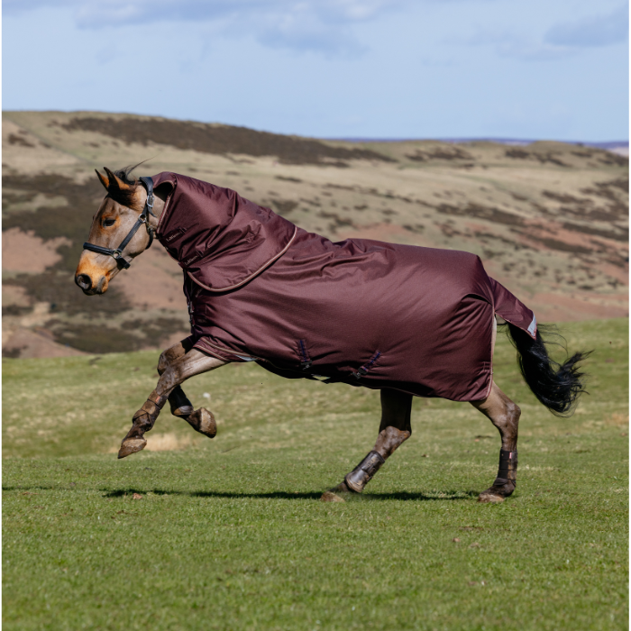 LeMieux AW26 Arika Ripstop 200g Turnout Rug Variant Colour Bramble. A horse running on grass wearing a purple rug, faded background.