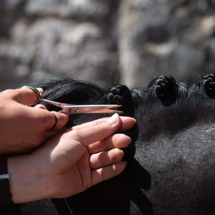 Person trimming a black dog's hair with scissors against a stone wall background