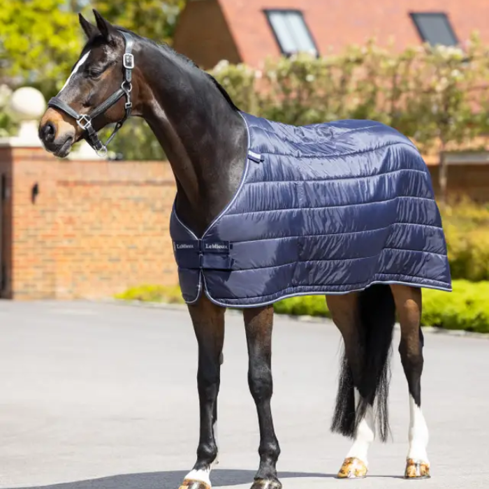 LeMieux AW26 Rug Liner 100g Variant Colour Navy.
A dark brown horse standing outdoors on a paved driveway wearing a navy blue quilted horse blanket. The horse has white markings on its face and legs, and the background shows a blurred brick wall, greenery, and house details.