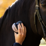 LeMieux AW26 Massage Brush Varient Navy. A person's hand holding a black and white LeMieux horse grooming brush against a dark brown horse's neck, with a soft-focus outdoor background.