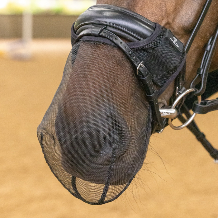 Close-up of a horse wearing a black mesh nose guard with a blurred background