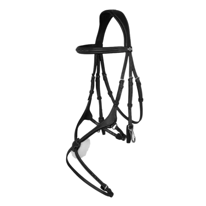 Bridle on white background