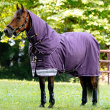 Horse wearing a purple rug in a grassy field with trees in the background