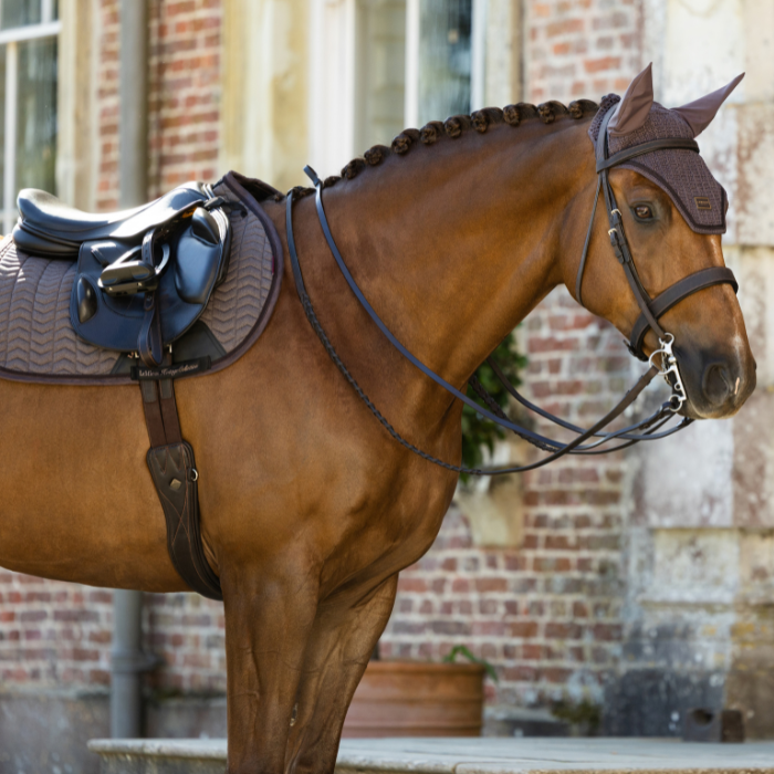 LeMieux AW26 Heritage Fly Hood Variant Cocoa. A brown horse wearing a dark brown leather tack set with a saddle, bridle, and ear covers, standing outdoors against a brick building background.