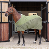 Horse wearing a green blanket standing in front of stable doors.