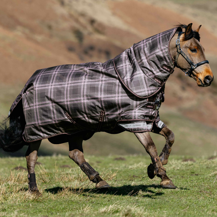 Bay horse cantering in an open field wearing a brown and pink check rug with a neck. 