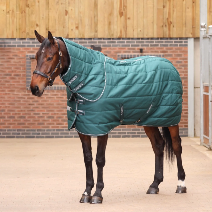 Horse stood in a barn wearing a green/blue Shires rug with a detachable neck. 