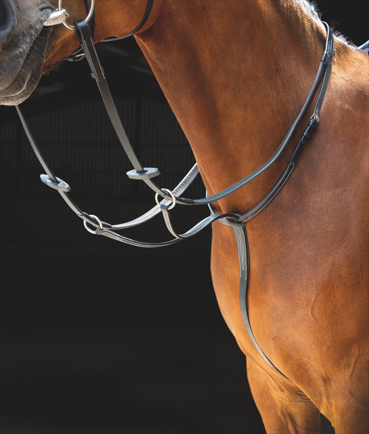 Shires Salisbury Running Martingale