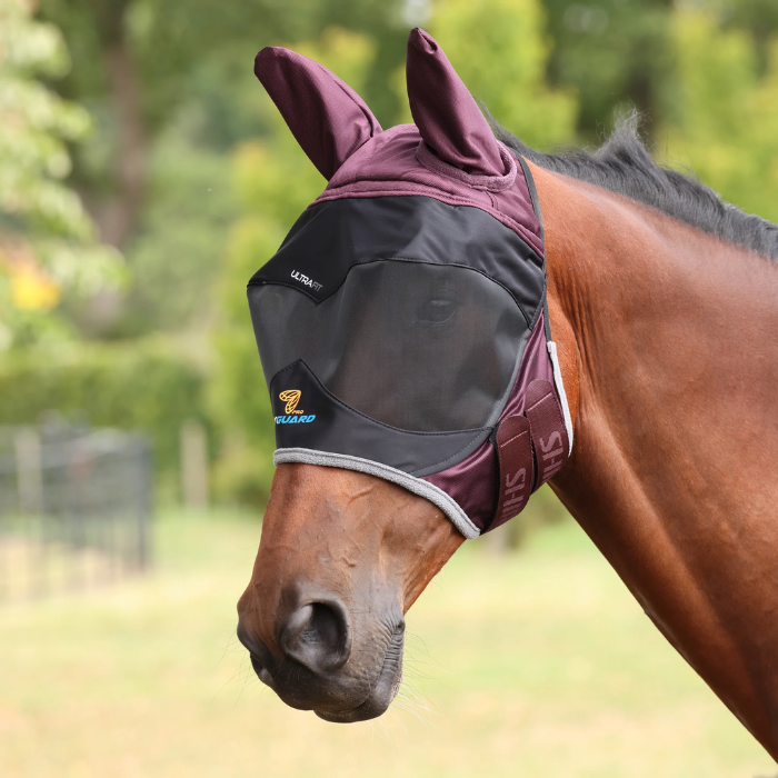 Horse wearing a fly mask with a blurred green background