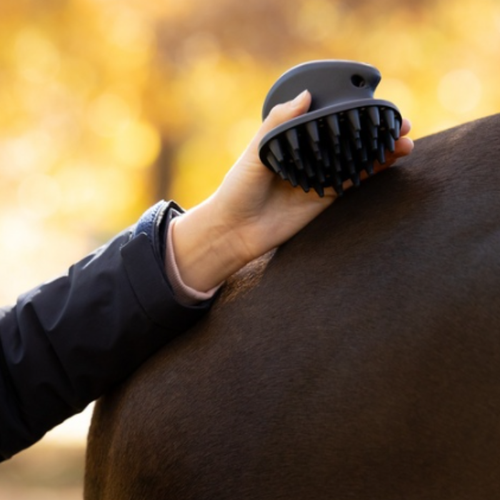 LeMieux AW26 Massage Brush Varient Navy. A close-up of a person's hand holding a dark gray horse grooming brush against a horse's dark brown coat, with a soft-focus golden autumn background.
