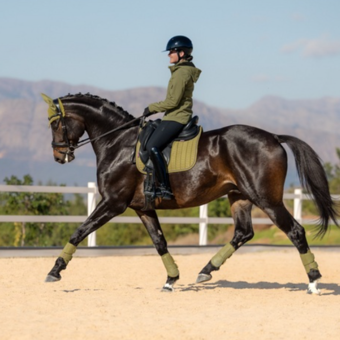 LeMieux AW26 Suede Dressage Square Varient Gooseberry. A dark brown horse with a black mane and tail trots in a sandy riding arena under a clear sky, with a rider in equestrian attire seated on it. The horse wears matching olive green leg wraps and a tan saddle pad.