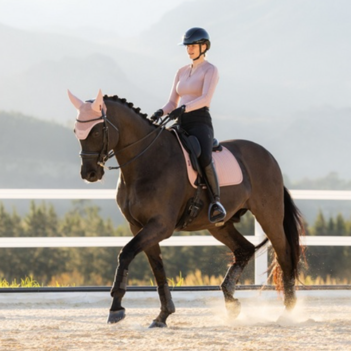 LeMieux AW26 Essence Dressage Square Varient Wild Rose. A rider in a light pink long-sleeve equestrian shirt, black breeches, and a black helmet rides a dark brown horse in a sandy riding arena with a white fence and blurred hills in the background.