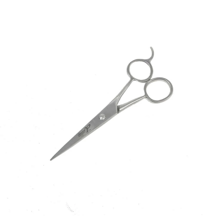 Pair of silver scissors on a white background