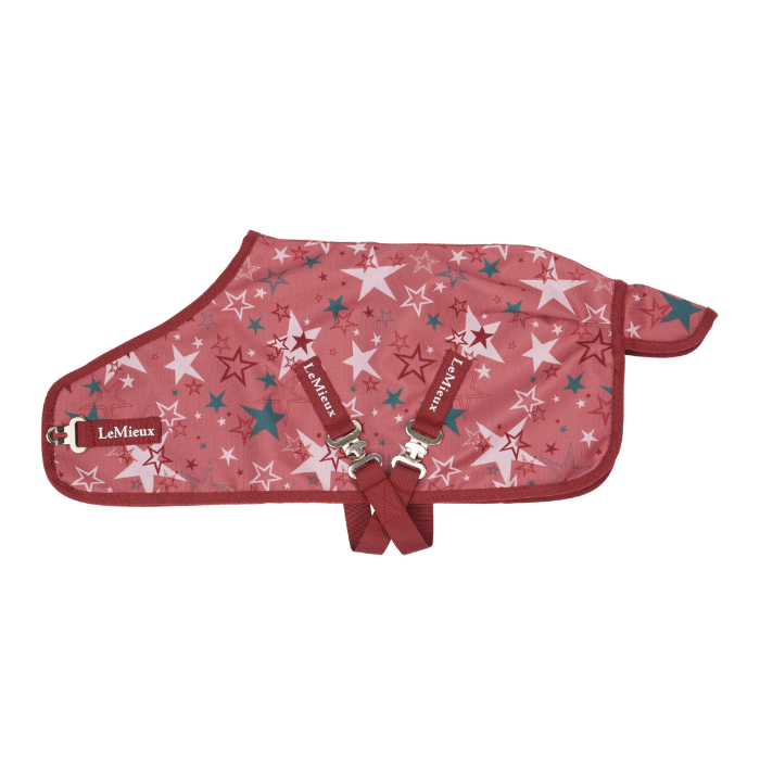 LeMieux AW26 Toy Pony Printed Turnout Rug Variant Colour Spiced Earth. A toy pony rug in spiced earth colour with star print on white background. 
