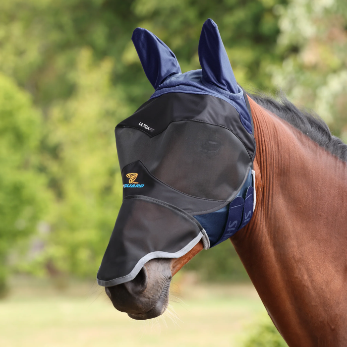 Horse wearing a fly mask with a blurred natural background