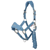 Blue horse halter with rope on a white background