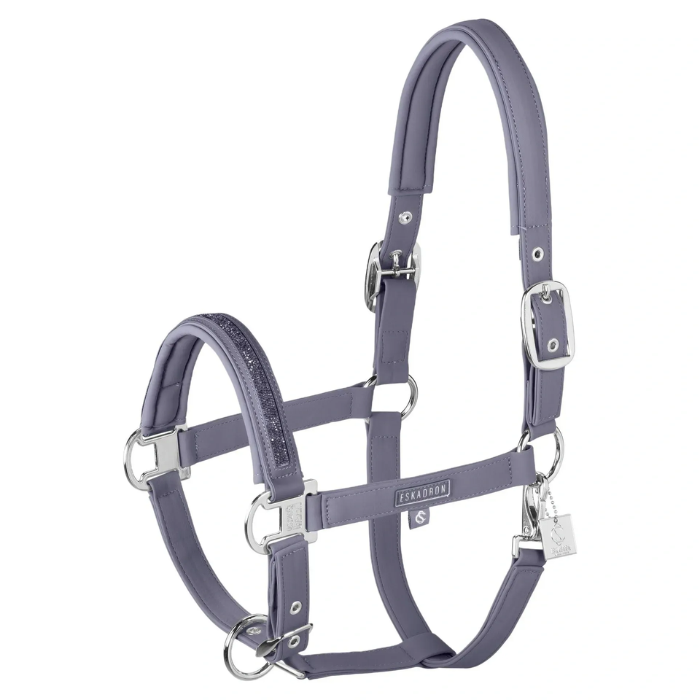 Blue horse halter on white background