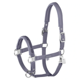 Blue horse halter on white background
