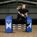 LeMieux Hobby Horse Jump