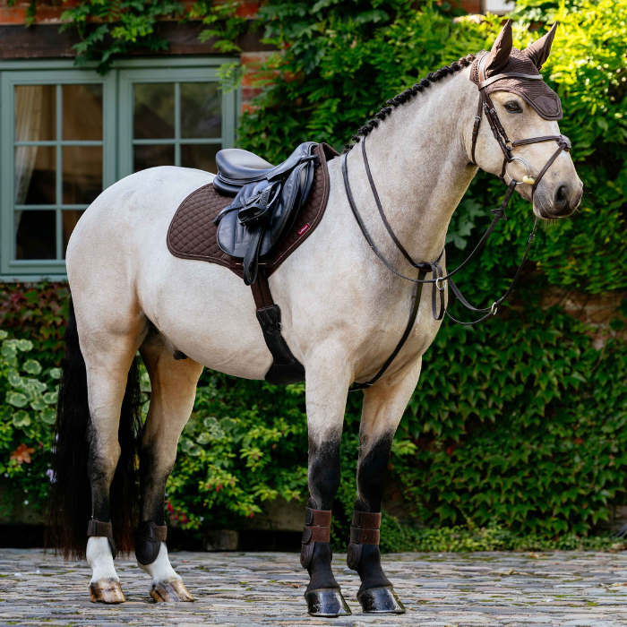 Horse with full saddle and bridle on grenery background