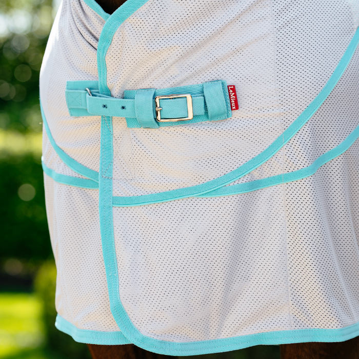 Close-up of a horse wearing a mesh blanket with turquoise trim and a visible brand label.