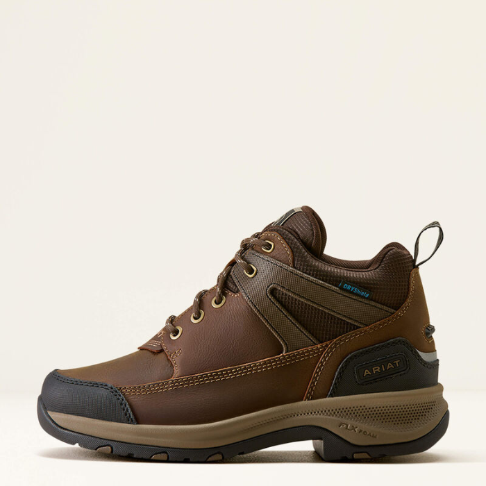 Ariat Ladies Terrain Trek H20 Variant Dark Chocolate. A brown Ariat waterproof hiking boot shown from the side against a white background.