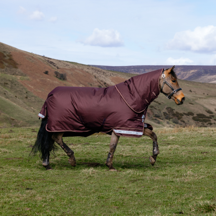 LeMieux AW26 Arika Ripstop 200g Turnout Rug Variant Colour Bramble. A horse running on grass wearing a purple rug, faded background.