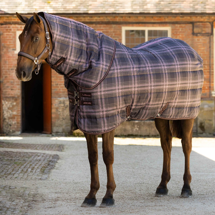 A dark horse standing on a yard, wearing a quilted horse blanket with a blue, gray, and pink plaid pattern and a matching neck cover.