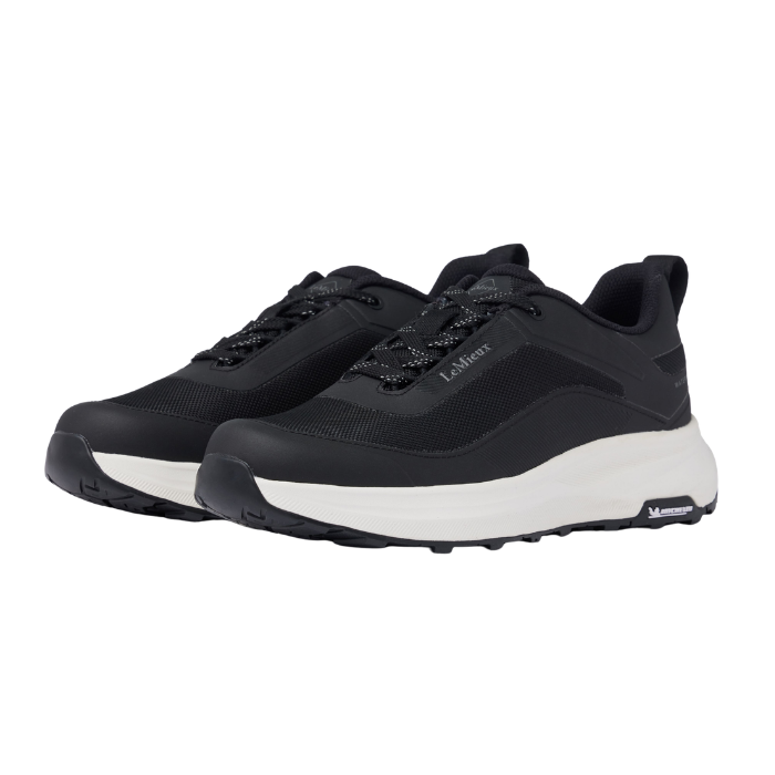 pair of navy trainers on white background