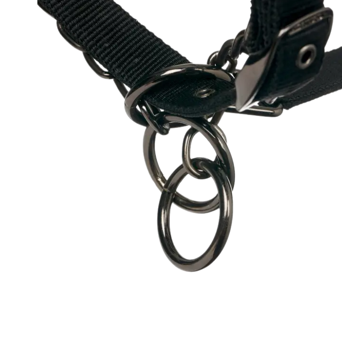 LeMieux Prosafe Headcollar in Black