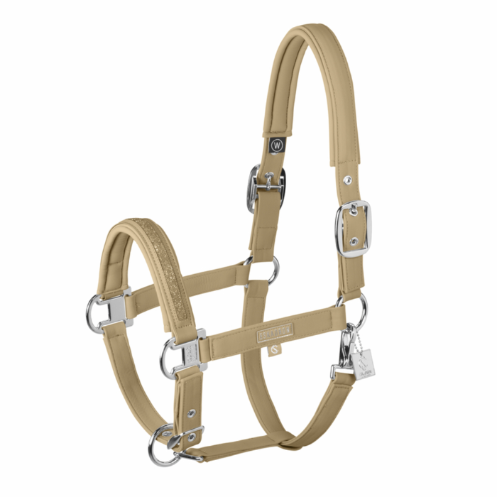 yellow horse halter on white background