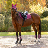 LeMieux AW26 Suede Close Contact Square Varient Blackberry. A brown horse standing outdoors on a cobblestone path, wearing a matching pink and purple equestrian leg bandage set with a black saddle and dark bridle. The background shows greenery and autumn foliage.