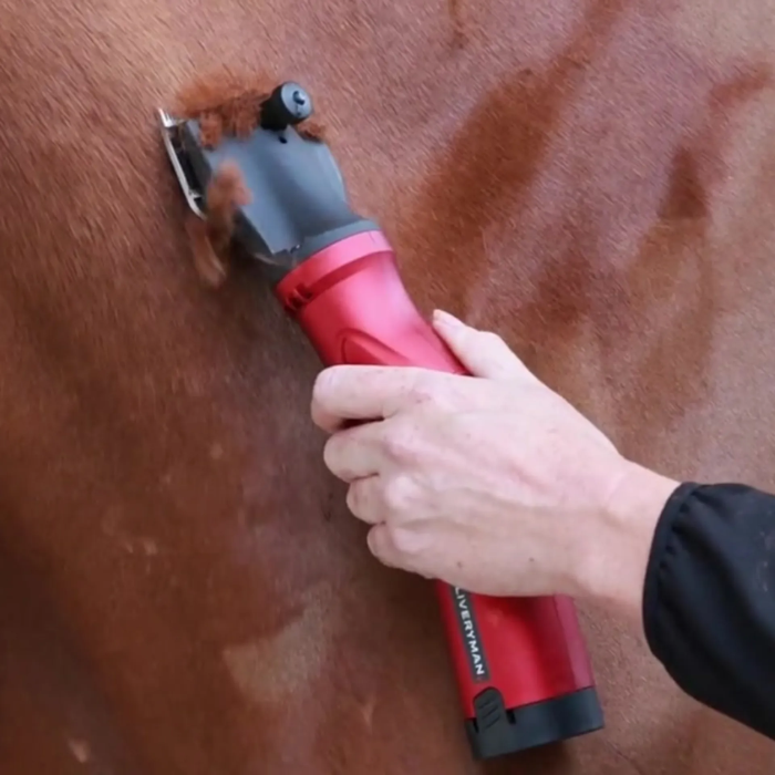 Person using a red and black grooming tool on a horse's coat.