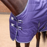 A close-up of a horse wearing a purple quilted horse blanket with white piping and navy straps, standing in an outdoor stable area.