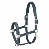 Green horse halter on white background