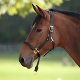Shires Velociti Lusso Soria Control Leather Headcollar in Black