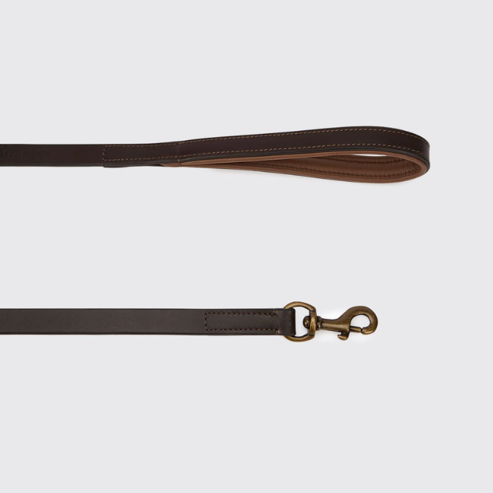 A dark brown leather dog leash with a matching leather handle and an antique bronze metal clasp, shown against a light gray background.